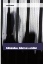 Schicksal von Schatten verdichtet