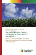 Sorgo BRS Ponta Negra: salinidade e desempenho agronômico