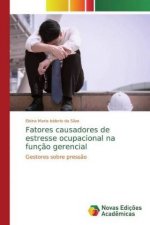 Fatores causadores de estresse ocupacional na funç?o gerencial