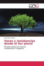 Voces y resistencias desde el Sur plural