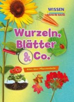 Wurzeln, Blätter & Co.