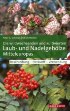 Die wildwachsenden und kultivierten Laub- und Nadelgehölze Mitteleuropas