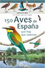 150 AVES DE ESPAÑA QUE HAY QUE CONOCER