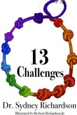 13 Challenges