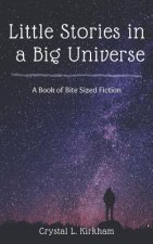 Little Stories in a Big Universe: A Book of Bite-Sized Fiction