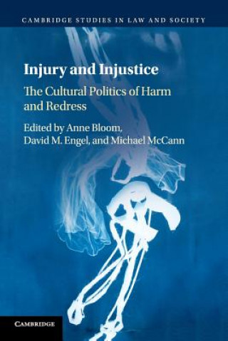 Injury and Injustice