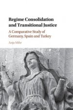 Regime Consolidation and Transitional Justice