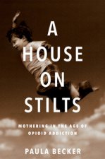 House on Stilts