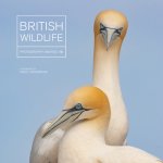 British Wildlife Photography Awards 10