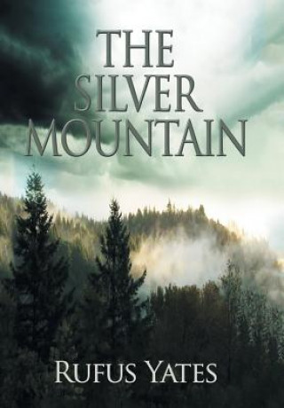 Silver Mountain