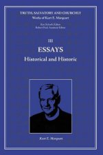 Essay
