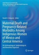 Maternal Death and Pregnancy-Related Morbidity Among Indigenous Women of Mexico and Central America