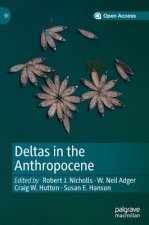 Deltas in the Anthropocene
