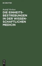 Einheitsbestrebungen in der wissenschaftlichen Medicin
