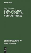 Burgerliches Recht (Schuldverhaltnisse)