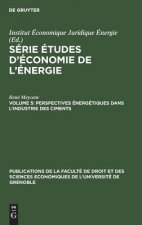 Perspectives energetiques dans l'industrie des ciments