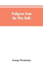 Pedigrees from the plea rolls