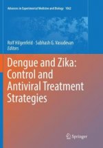 Dengue and Zika: Control and Antiviral Treatment Strategies