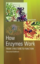 How Enzymes Work