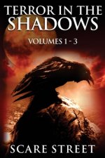 Terror in the Shadows Volumes 1 - 3: Scary Ghosts, Paranormal & Supernatural Horror Short Stories Anthology