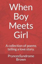 When Boy Meets Girl: A Collection of Poems Telling a Love Story.