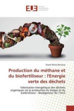 Production du méthane et du biofertiliseur : l'Energie verte des déchets