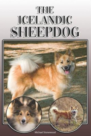 The Icelandic Sheepdog: A Complete and Comprehensive Owners Guide To: Buying, Owning, Health, Grooming, Training, Obedience, Understanding and