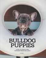 Bulldog Puppies: Guide to train & care for your french bulldog