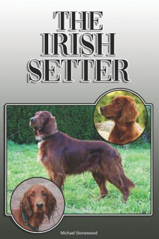 The Irish Setter: A Complete and Comprehensive Owners Guide To: Buying, Owning, Health, Grooming, Training, Obedience, Understanding and