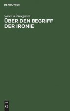 UEber Den Begriff Der Ironie