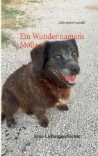 Wunder namens Molla