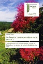 Destin, que nous reserve le destin ?