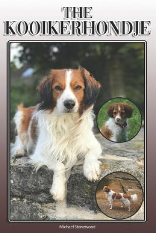 The Kooikerhondje: A Complete and Comprehensive Owners Guide To: Buying, Owning, Health, Grooming, Training, Obedience, Understanding and