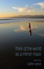 Think of the World as a Mirror Maze