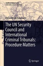 UN Security Council and International Criminal Tribunals: Procedure Matters