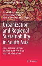 Urbanization and Regional Sustainability in South Asia