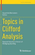 Topics in Clifford Analysis