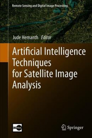 Artificial Intelligence Techniques for Satellite Image Analysis