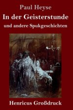 In der Geisterstunde und andere Spukgeschichten (Grossdruck)