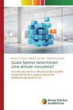 Quais fatores determinam uma atitude inovadora?