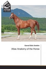 Atlas Anatomy of the Horse