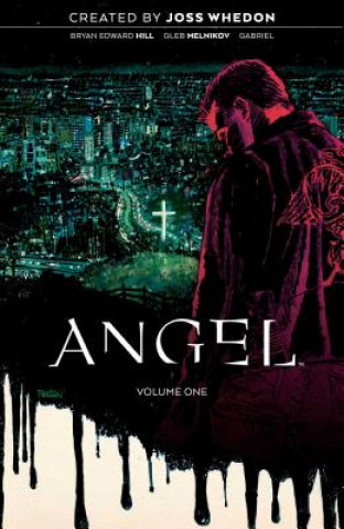 Angel Vol. 1: Being Humanvolume 1