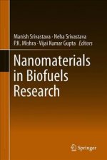 Nanomaterials in Biofuels Research