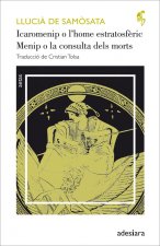 ICAROMENIP L'HOME ESTRATOSFERIC