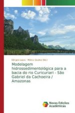Modelagem hidrossedimentológica para a bacia do rio Curicuriari - S?o Gabriel da Cachoeira / Amazonas