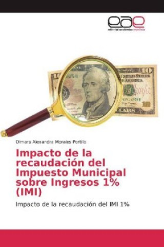 Impacto de la recaudación del Impuesto Municipal sobre Ingresos 1% (IMI)