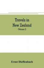 Travels in New Zealand