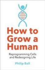 How to Grow a Human