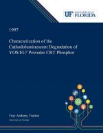Characterization of the Cathodoluminescent Degradation of Y₂O₂S