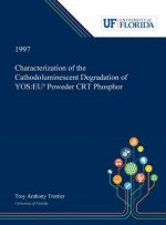 Characterization of the Cathodoluminescent Degradation of Y₂O₂S